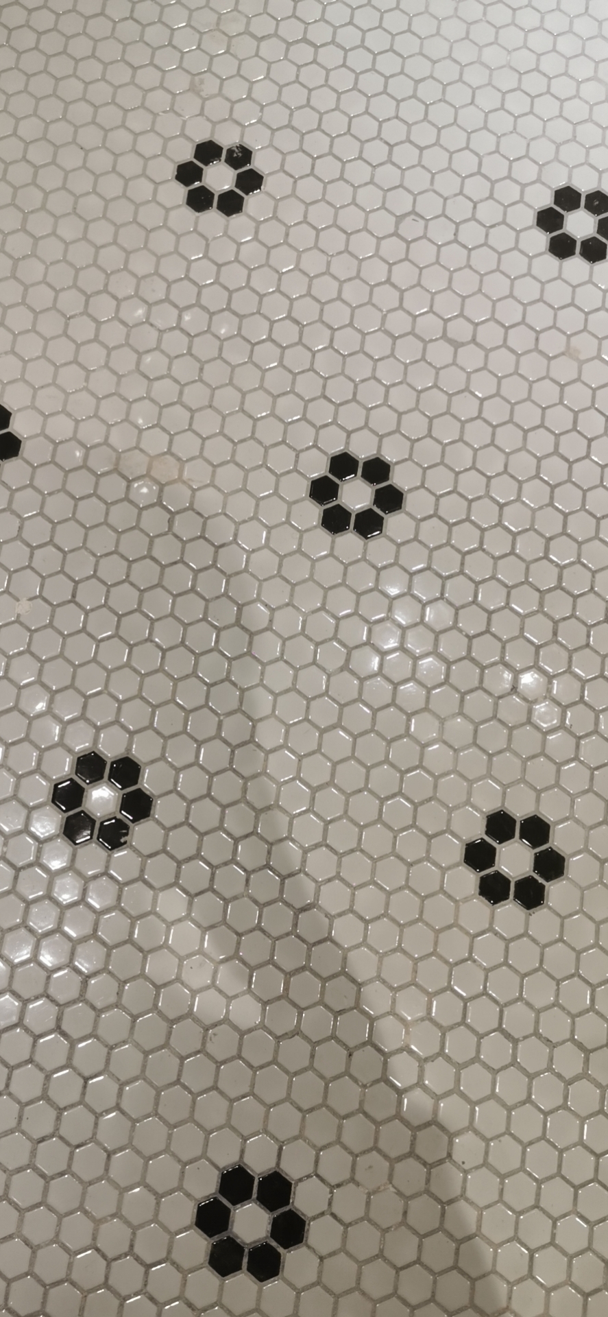 1705649536126397.jpg
